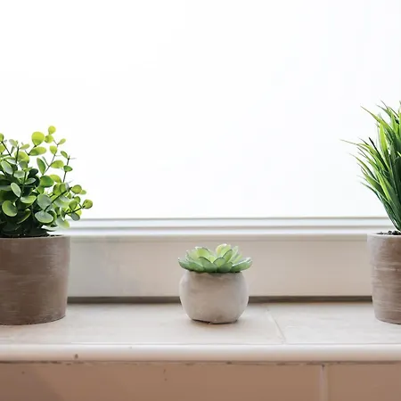 Classy In Centar Ζαντάρ