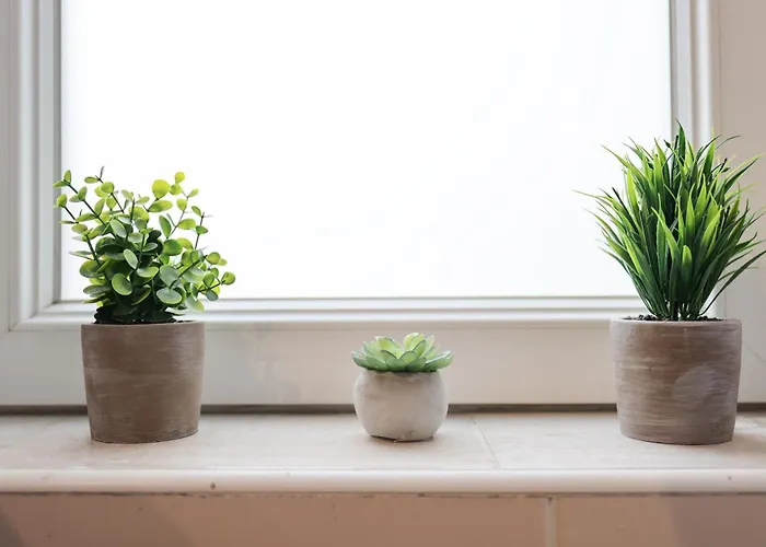 Classy In Centar Zadar